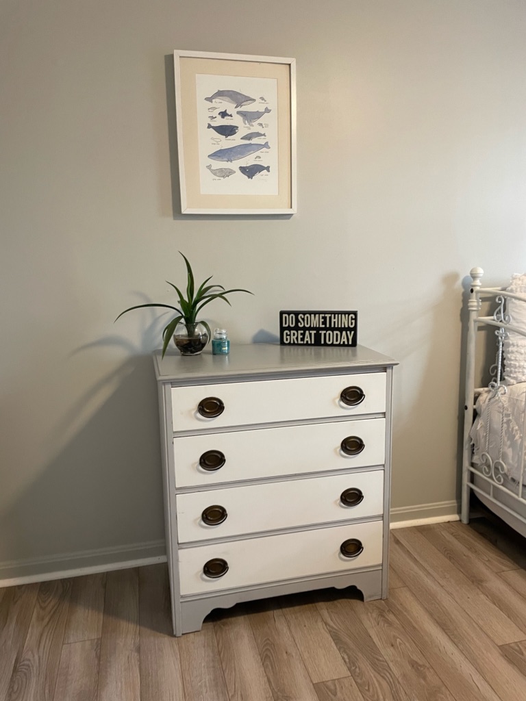 Small white coastal chest